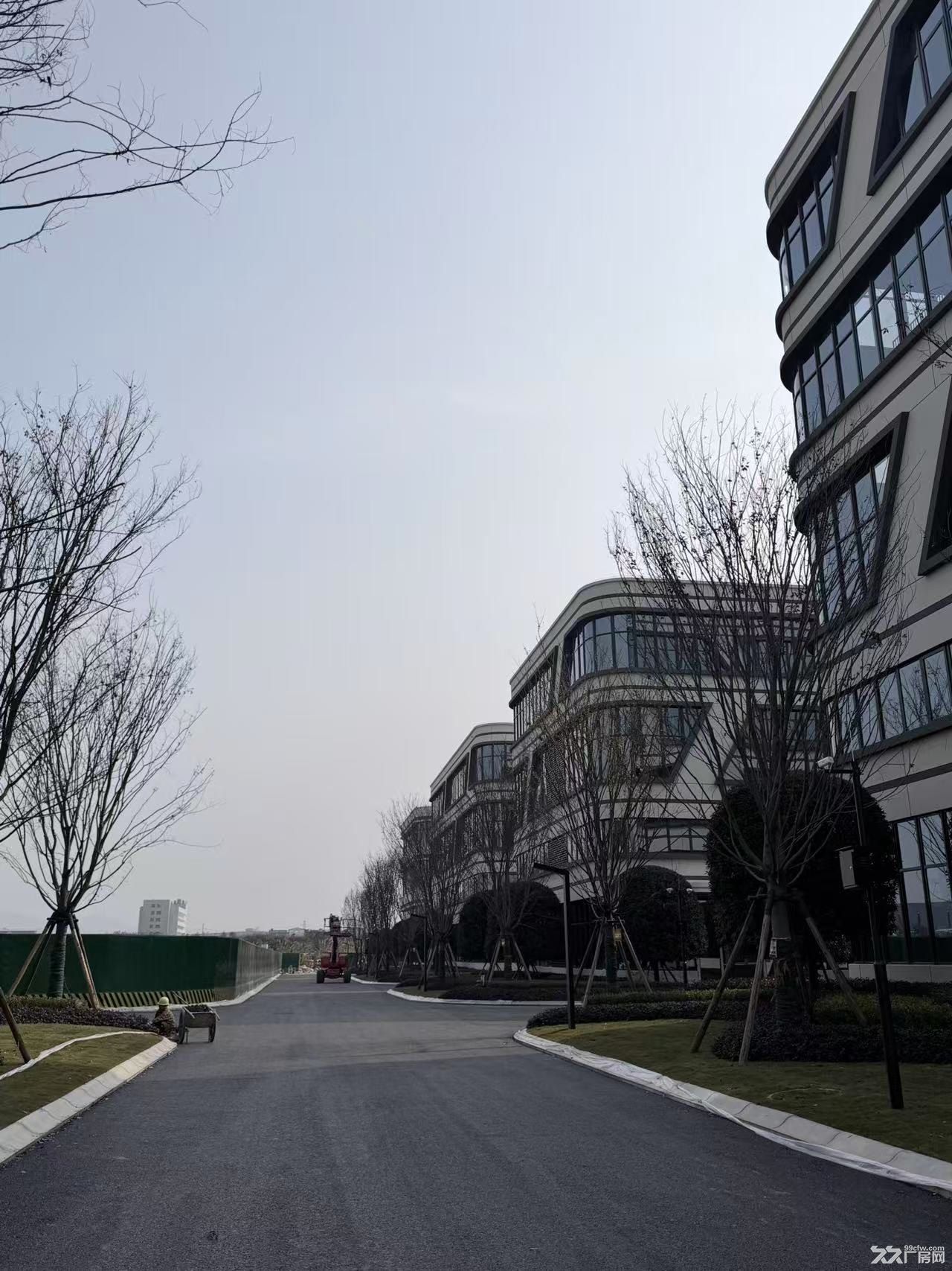 租售天府新区电子信息产业园,科技准入,分栋独栋 - 3