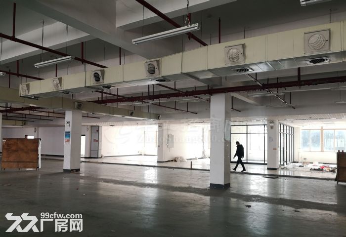 黄埔区科学城南云路旁6500平标准厂房招租，可分租，性价比高 - 3