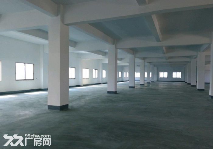 殿前 疏港路杏林大桥引桥口 楼上厂房 2500平米出租