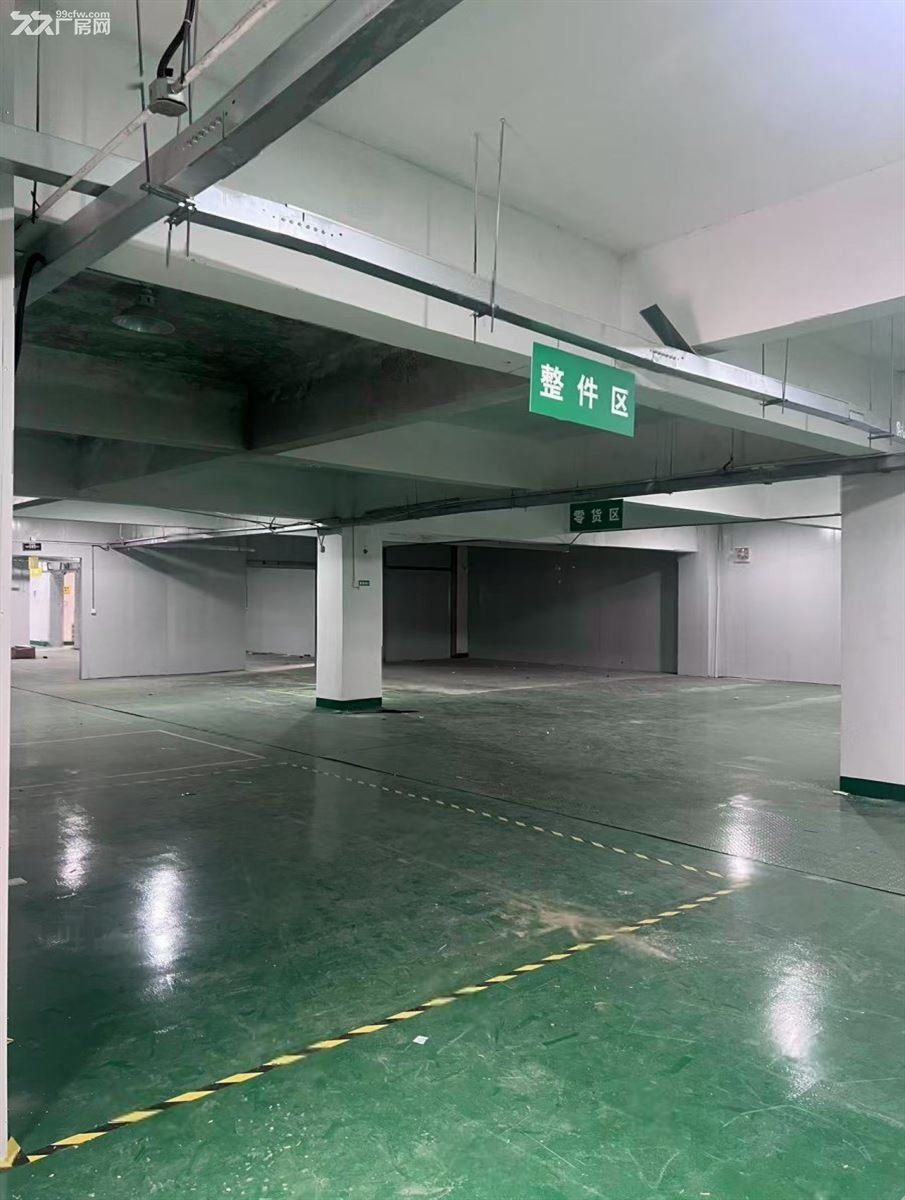 。南翔陈翔路88号厂房大减价大车好进出大小好分割 - 4