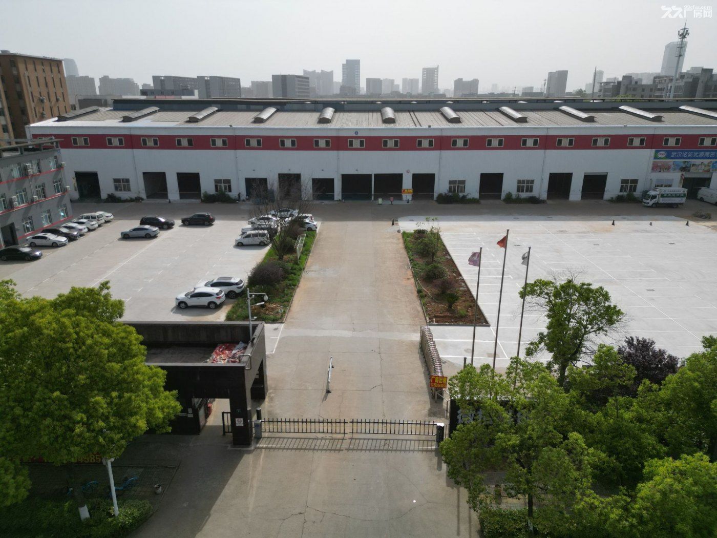 光谷一路一楼厂房实心地出租 - 2