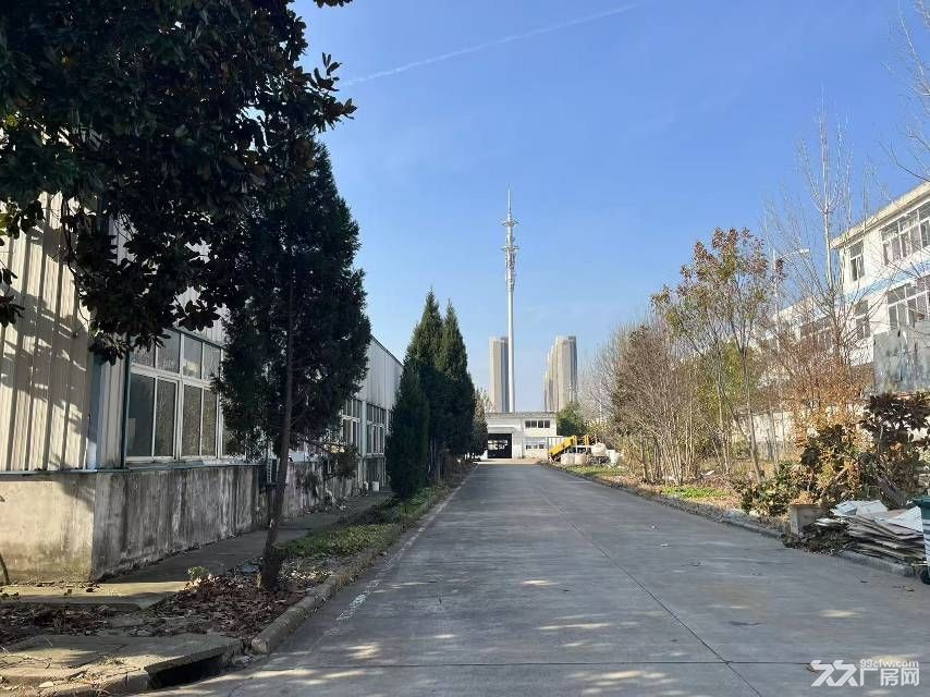 庐阳区7000平钢结构厂房出租,可分租 - 3