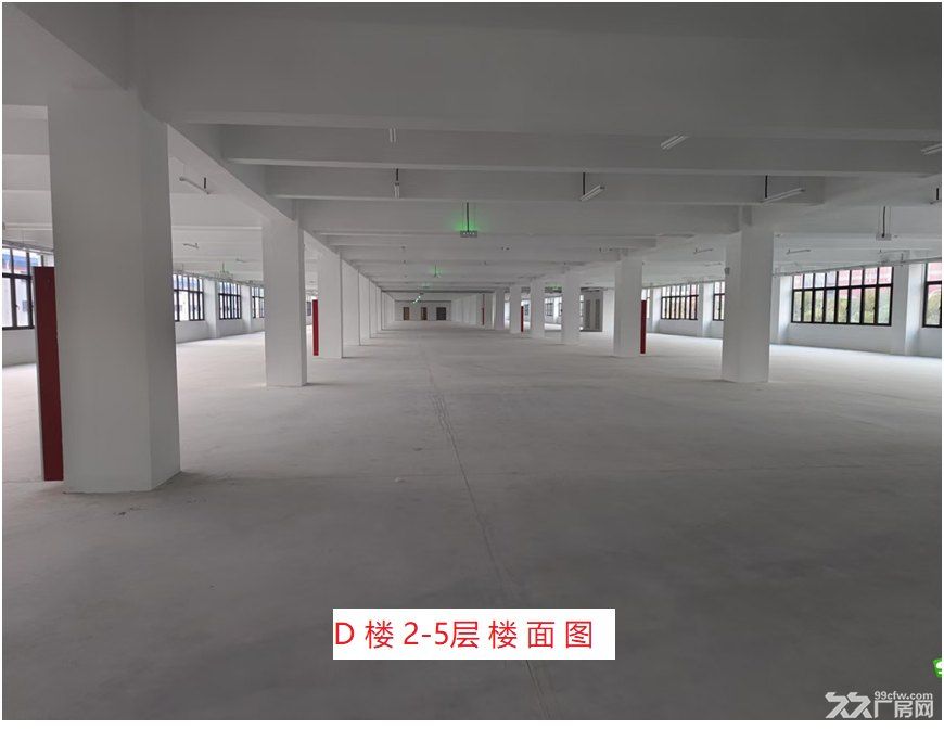 标准厂房，有办公，有宿舍，有食堂 - 8