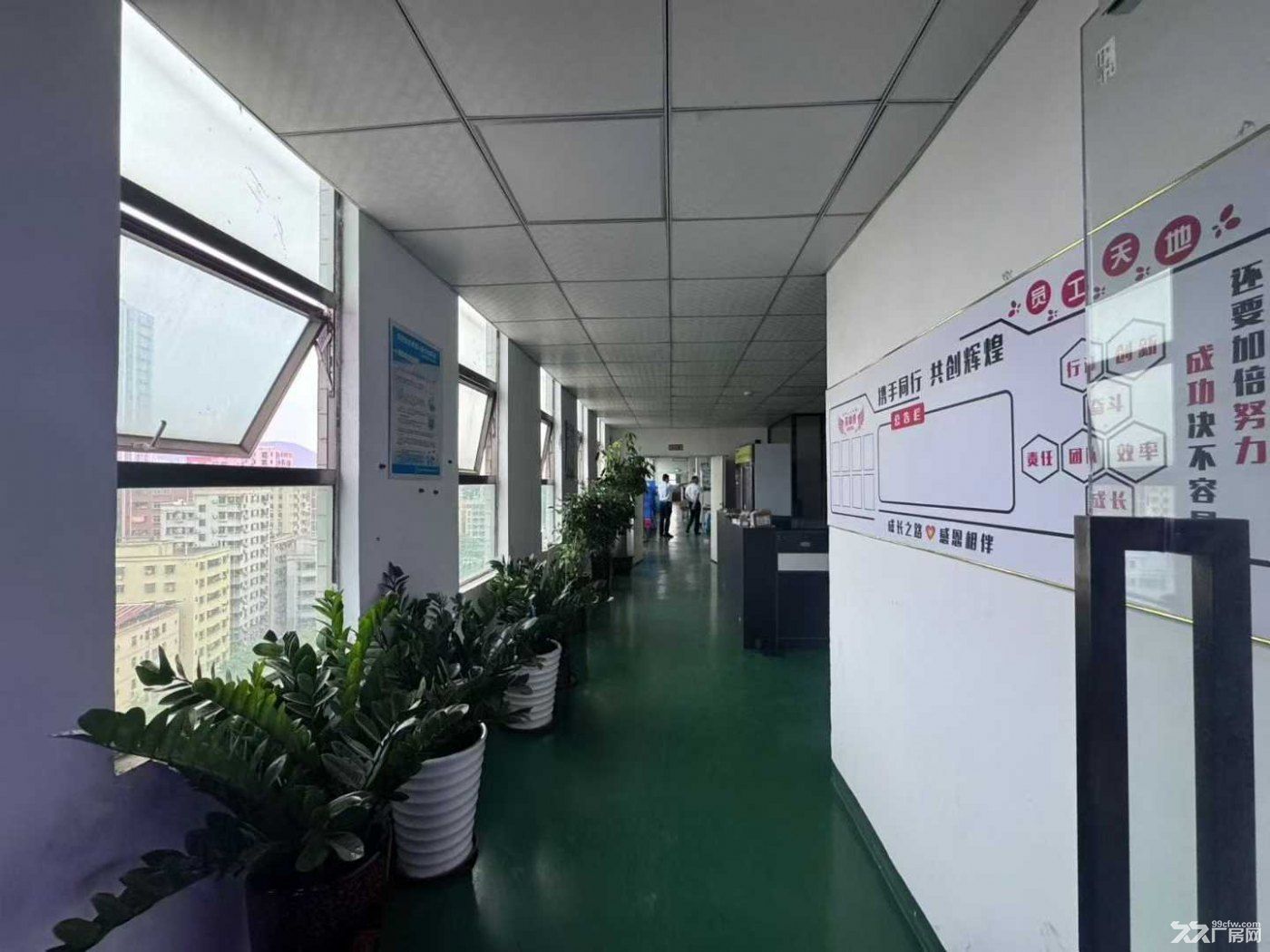 龙华大浪楼上厂房850平整层出租 - 5