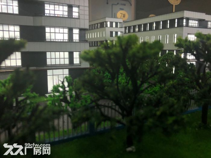 平湖开发商直售50年产权标准厂房2380平 - 6