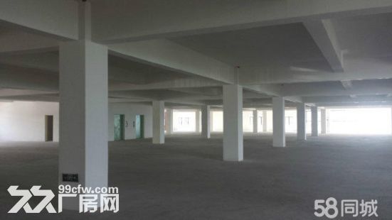 全新厂房仓库出租出售 - 3