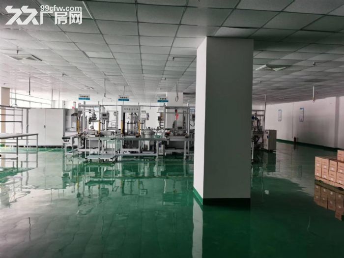 平湖上木古宝工业区,2万平方大型红本厂房出租大小可分200平方起租 - 3