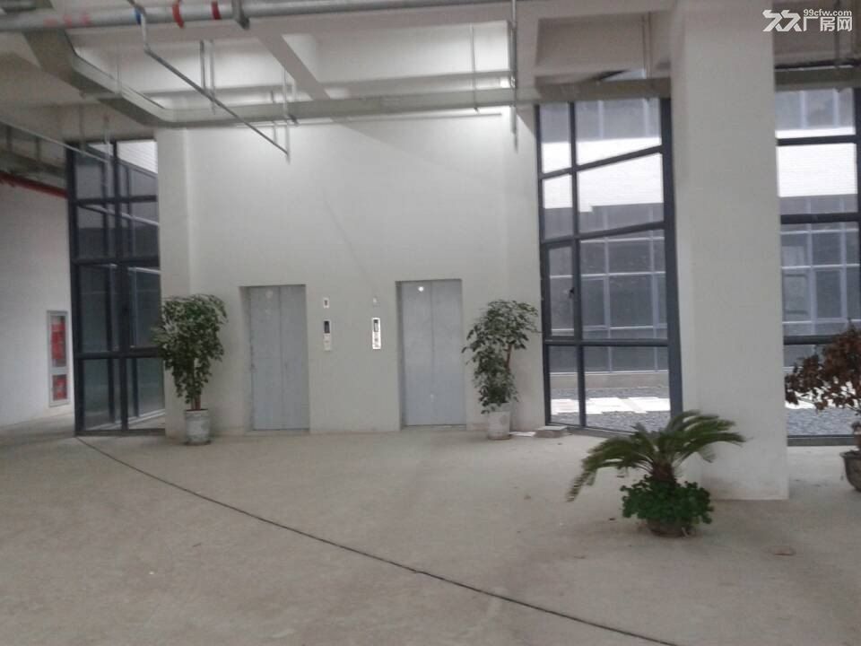 闵行一楼厂房 实验室 医药器械高端智能浦江漕河泾园 - 6