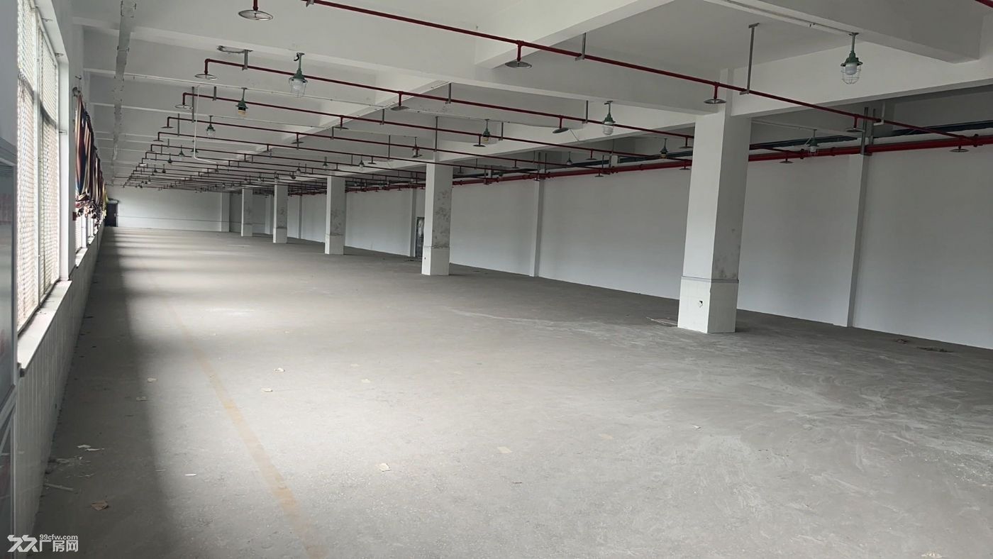 临平开发区五洲路华鼎集团新厂房一楼3300方 - 2