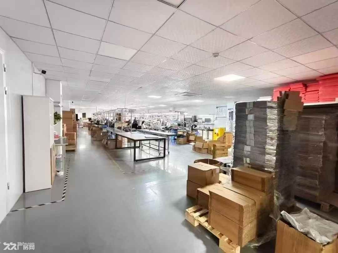龙华商业中心新出花园式原房东厂房整层2000平厂房出租 - 4