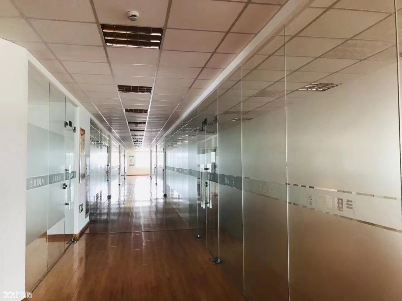 上海临港自贸区大环评104板块工业厂房业主直租 - 6