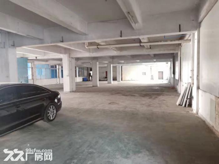 花都秀全成熟工业园一楼厂房出租,1650㎡,地段佳,交通便利 - 3