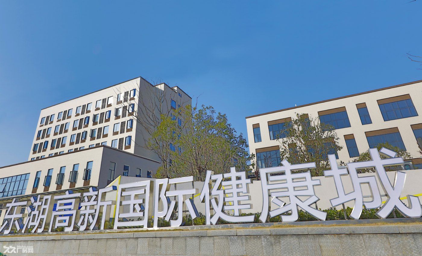 光谷南大健康生物医药产业园厂房出售,标准厂房可定制 - 3