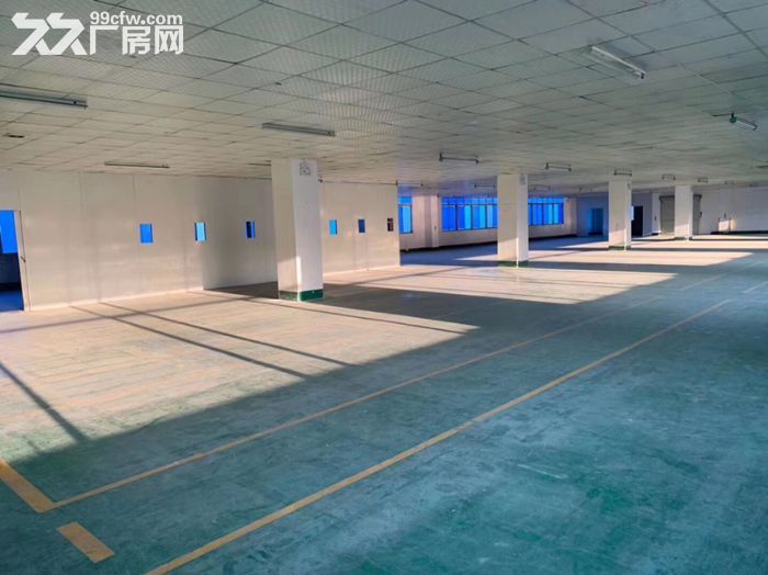 沙井高速出口附近楼上精装厂房1500平,原房东,空地大,地坪漆 - 4