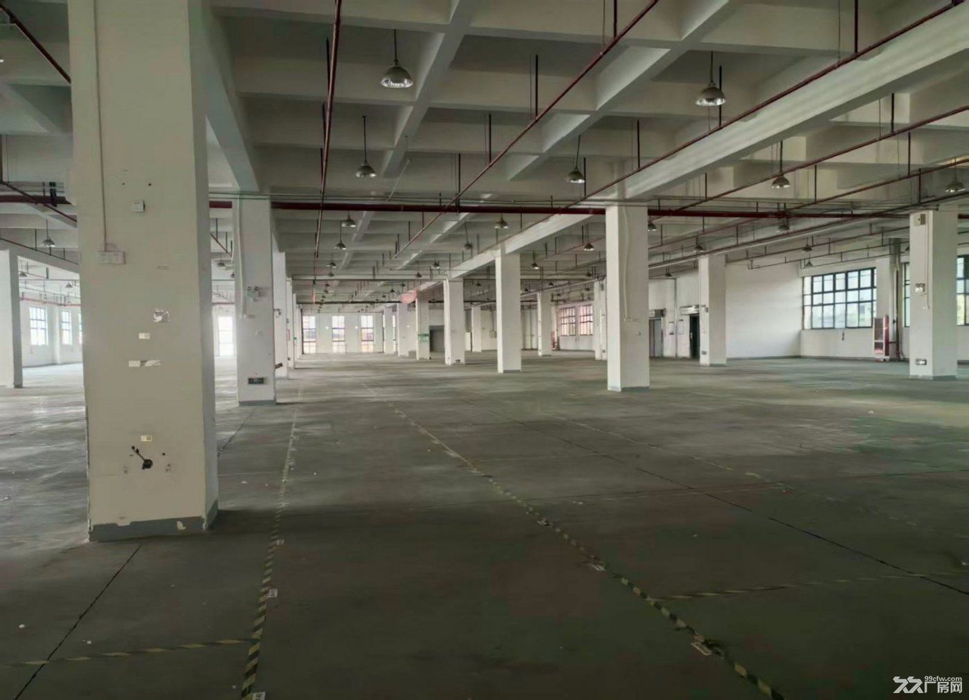 房东直租：原房东独门独院 场地大 环评好办 大车好进 行业不限 形象好 - 3