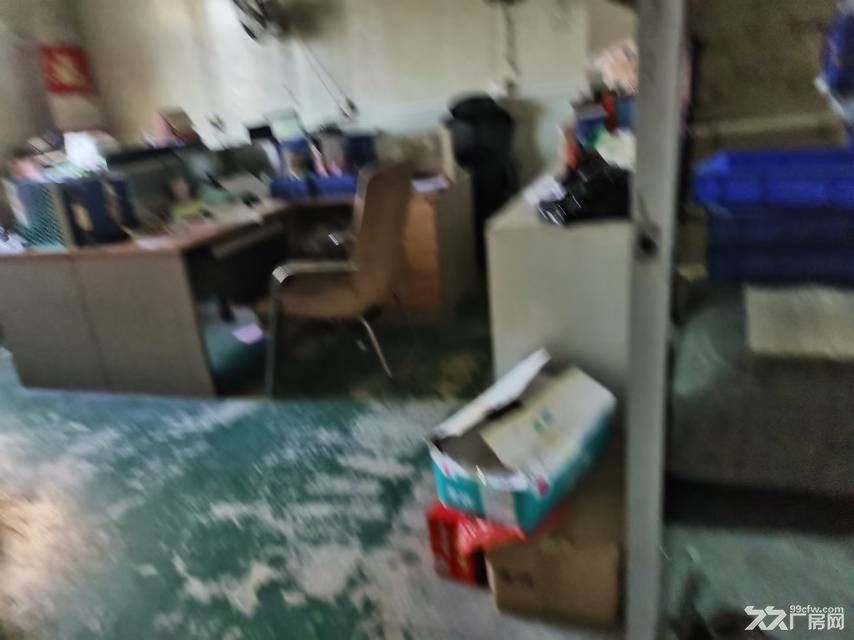 深圳龙岗平湖独门独院8752㎡出售 - 3