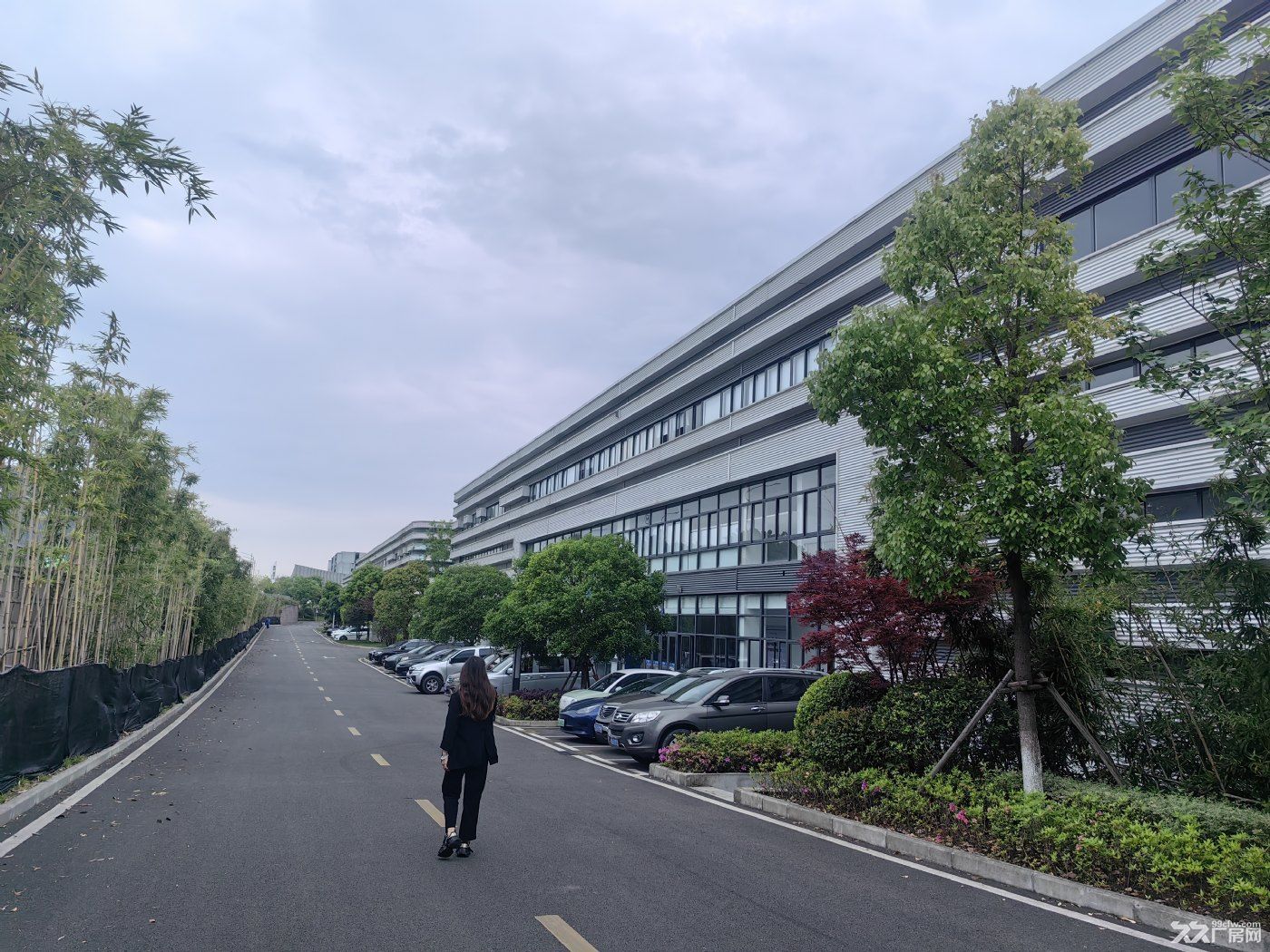 高新区,单层钢构11米,交通完善,配套齐全