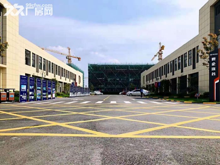 六合 龙池 开发区 优质产业园厂房办公楼招商600--6000平 - 7