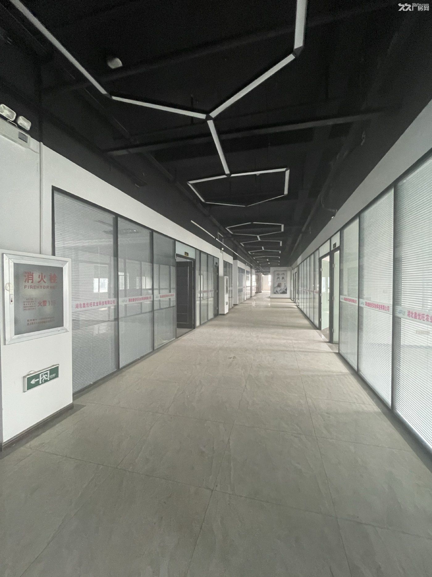 精装厂房 房东低价出租 地铁口 可分租 - 5