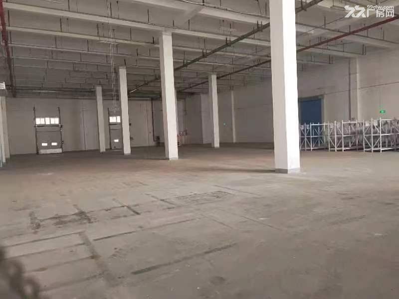 丙二类高台库有货梯,有办公,可进大车底价手续齐全 - 6