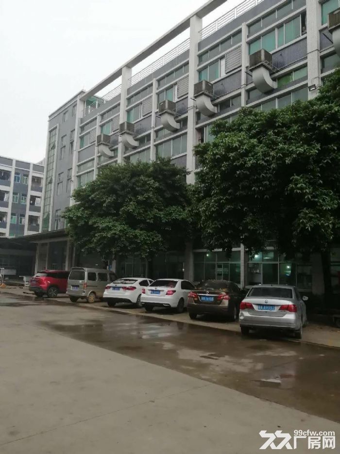 黄埔经开区大型工业园一楼3000平厂房招租，高6.5米，合同期长