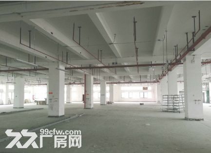后溪工业区标准厂房独幢每层3200出租 - 2