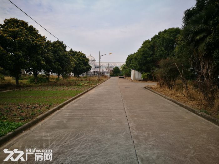 奉贤四团104板块厂房出租