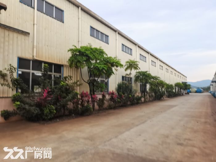 江门台山工业新城龙山路附近单一层厂房仓库1400平方出租 - 5