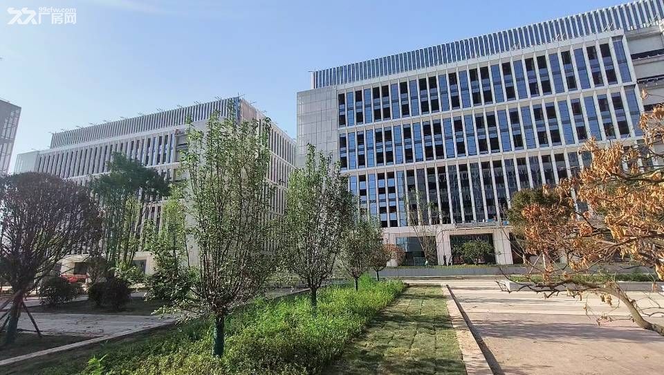 达州青网现有标准厂房出租 高品质 低租金 - 7