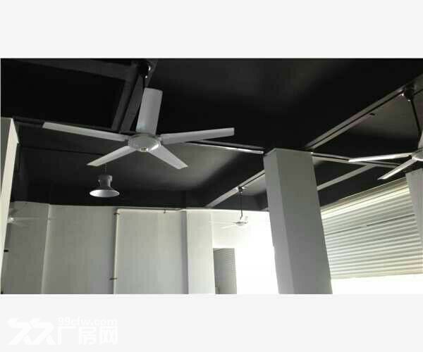 438平方小厂房出售 - 5