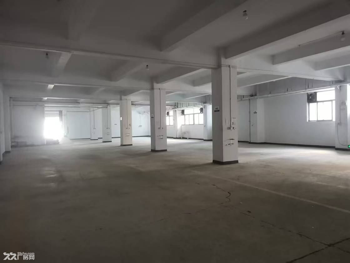 黄金工业城一楼2600平厂房招租 - 2