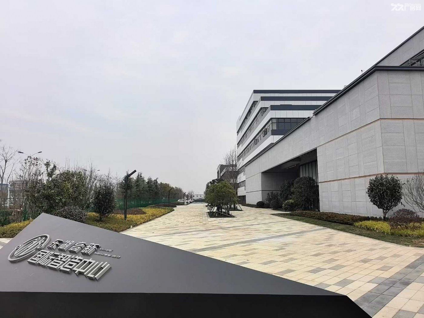 蔡甸智能智造厂房出售,国企开发可定制可办证 - 2