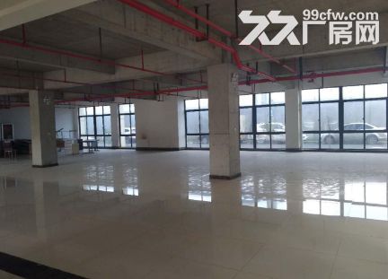 海宁长安101省道边上10亩土地8000方厂房,配套齐全 - 3