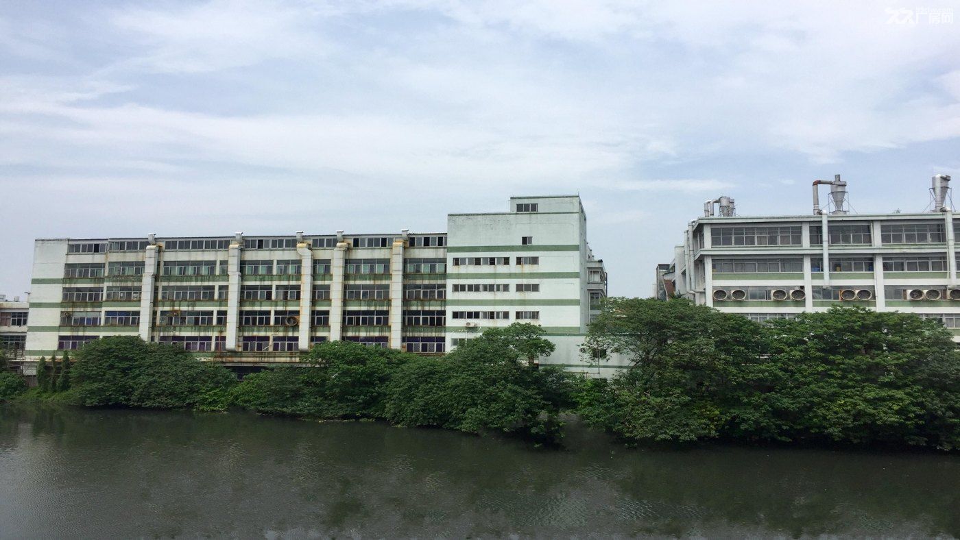 东莞市凤岗镇15000平方独院厂房出售 (集体合同) 4500万 - 3