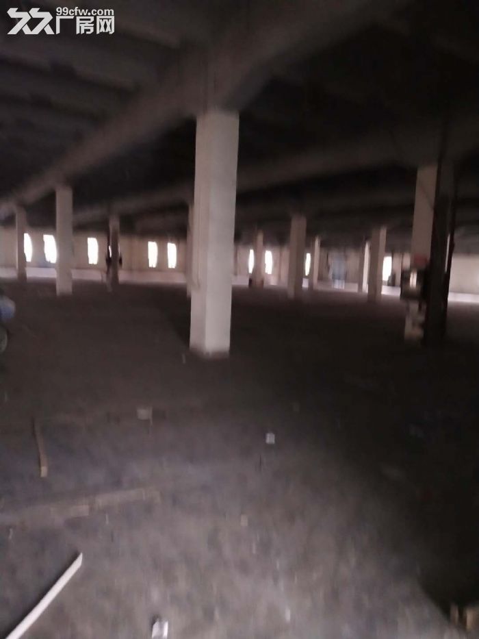 杏林杏西路3300，1200，650，500平出租 - 2