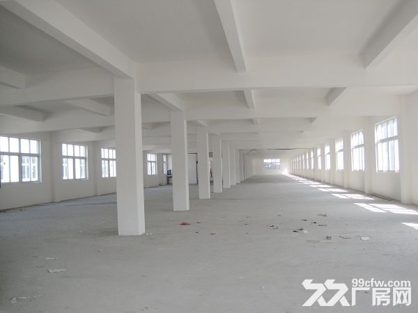 个人.东善桥1到4楼7000平米新建标准厂房出租,1700平米/层 - 5