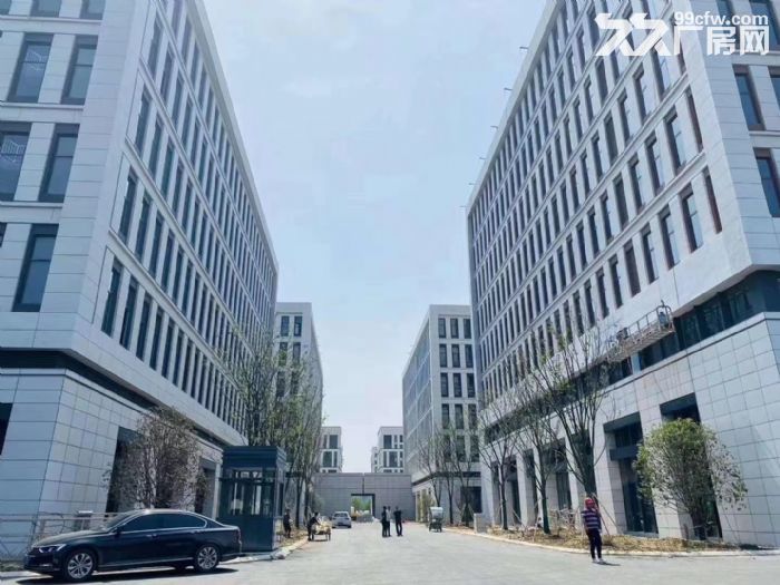 新南通新崇川花园式标准独栋厂房出售