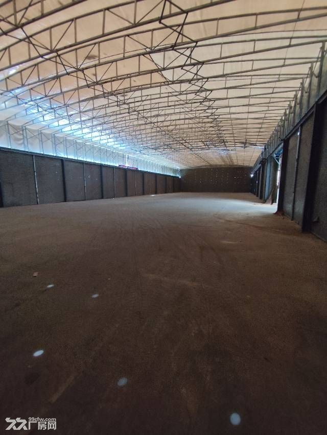曹安公路4369号,空出独门独院16000平方 - 5