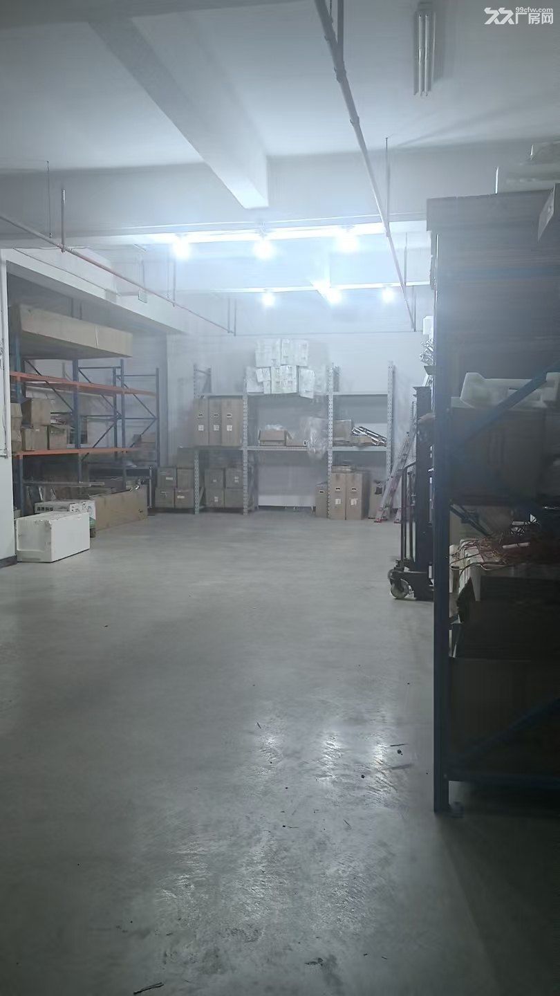 九亭镇大房东发布厂房出租