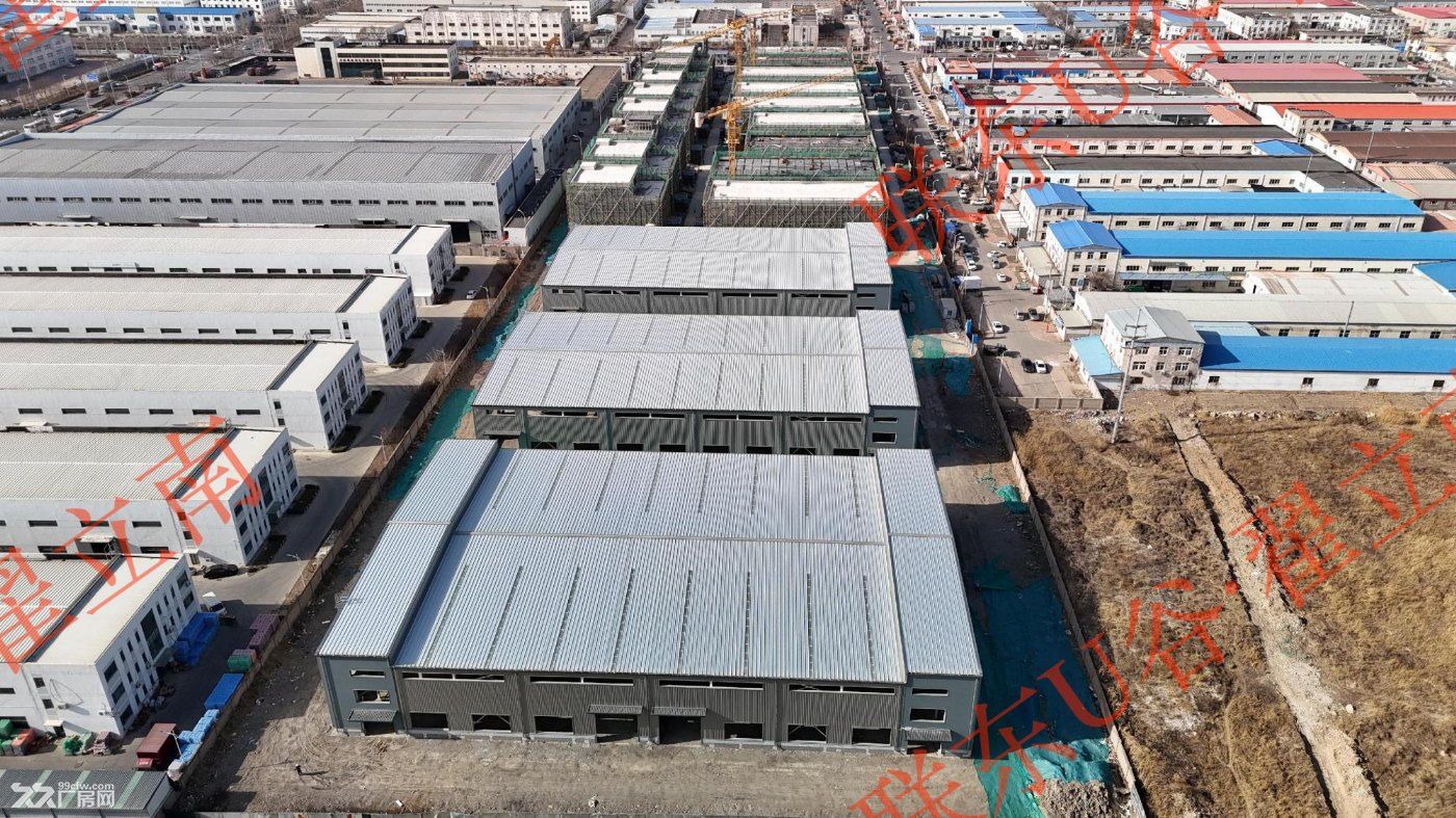 津南双港1145m²轻钢单层厂房出售 - 2