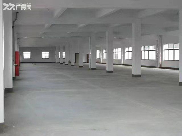 松江新浜工业区独院双层厂房出租，4000平方米起租 - 5