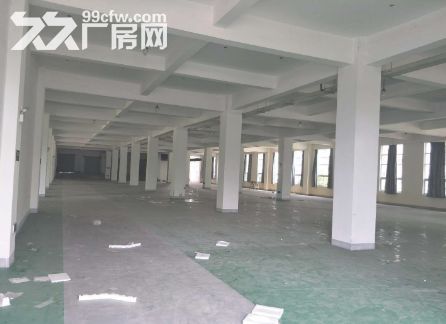 海沧区海景东路5层厂房480-2800平招租 - 3