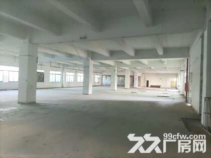龙岗五联原房东一楼厂房，1200平，可做重工业，可办环评 - 3