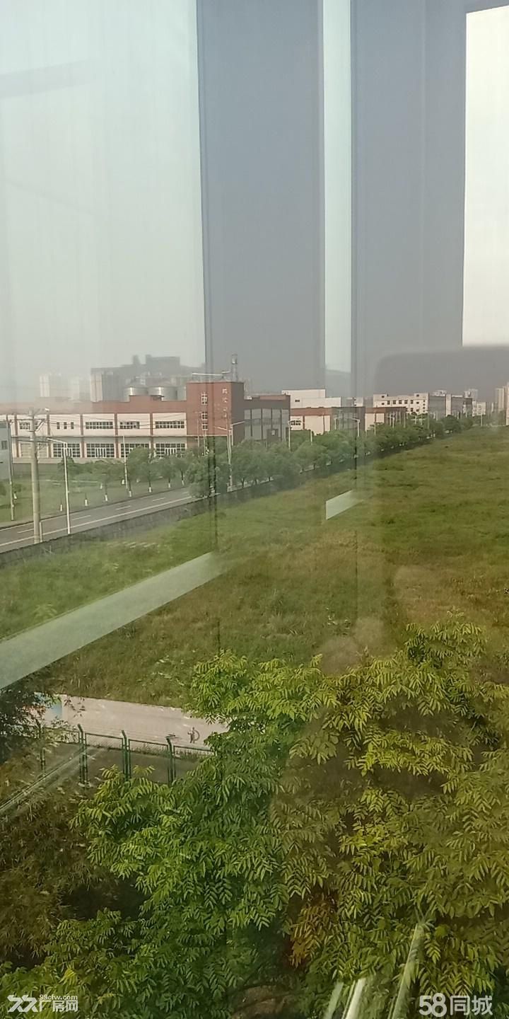 经开区综保区政府厂房招租 - 4