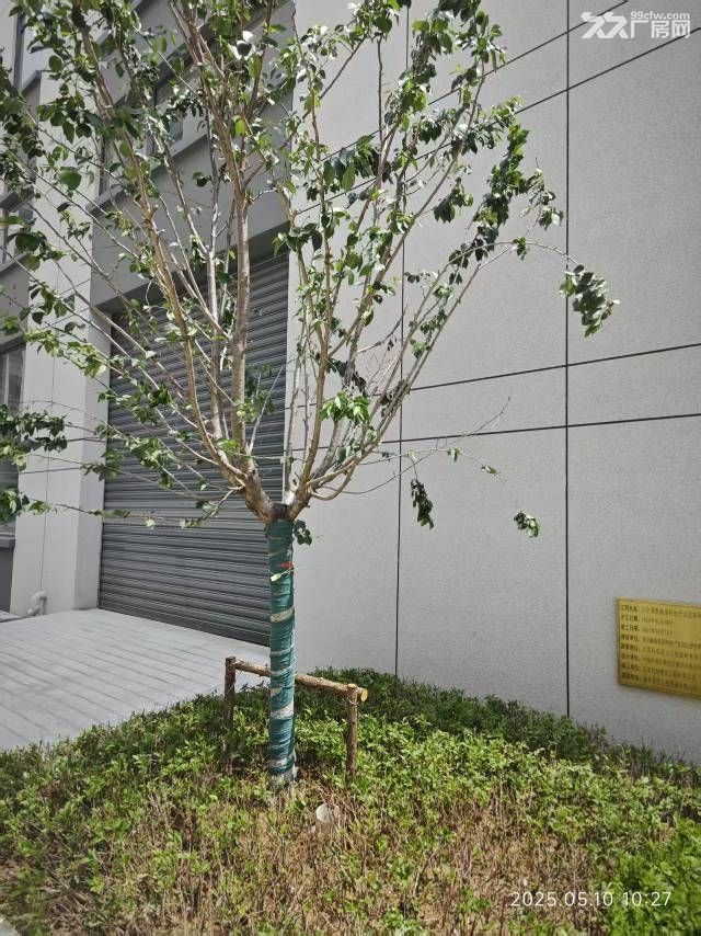 江宁湖熟现房销售产品类型多样化 - 4