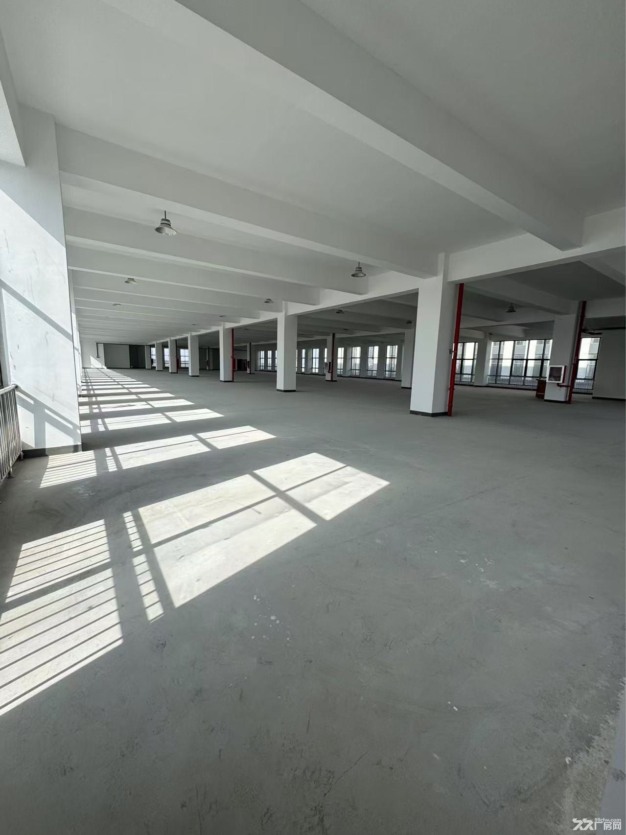 龙虎塘新建园区厂房出租1000平起租 - 3