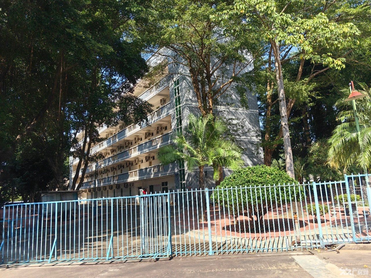 惠州原房东红本花园式独院35000平砖墙到顶钢构厂房出租 - 4