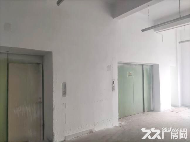 龙岗新出楼上厂房2000平，可分租，空地超大，有4吨货梯 - 3