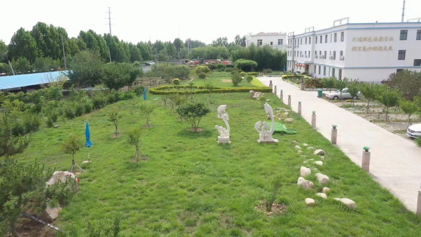 2300平全新钢构厂房招租