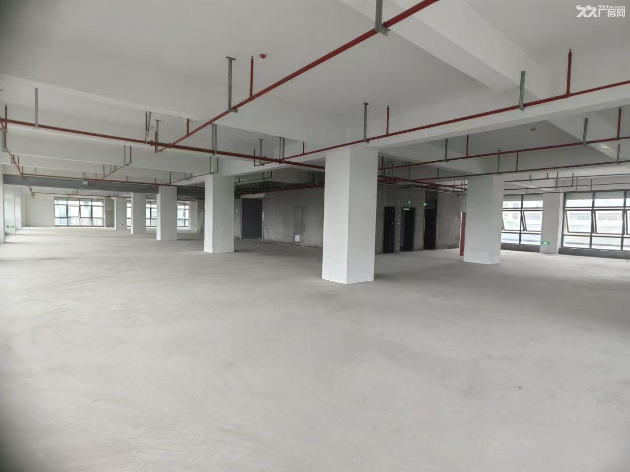 绍兴 嵊州 独栋厂房出租 艇湖科技城 最高可享免租 - 3